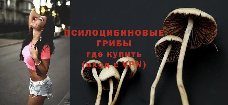 hydra маркетплейс  Уяр  Псилоцибиновые грибы Magic Shrooms  купить наркотик 